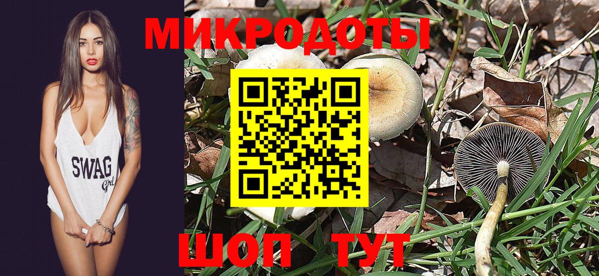 наркошоп  Вход с VPN  Зеленогорск  Псилоцибиновые грибы Cubensis 